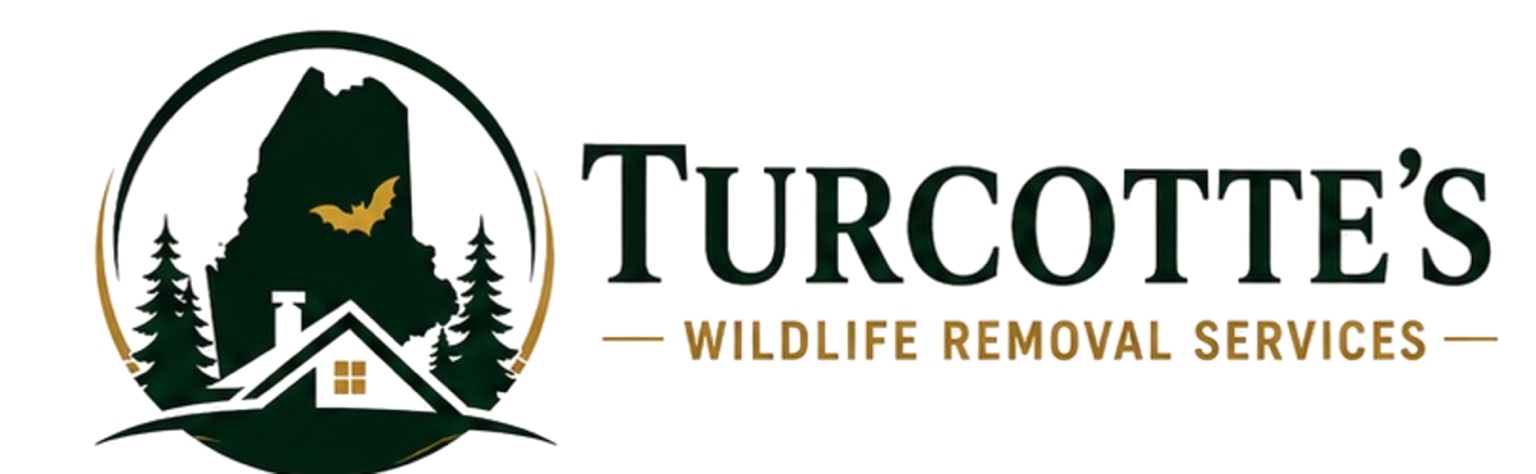 Turcotte's Wildlife Removal Services